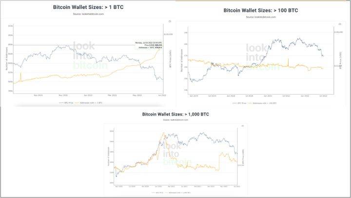 大饼（BTC）宏观分析：目前是否已经到底<strong></p>
<p>BTC</strong>？