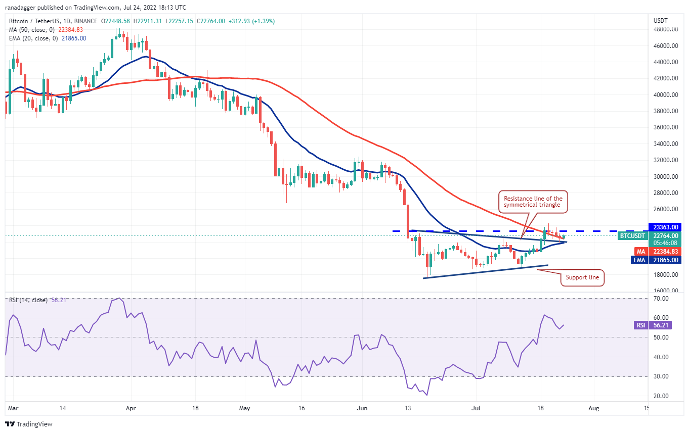 本周最值得关注的 5 种加密货币：BTC、ETH、BCH、AXS、EOS