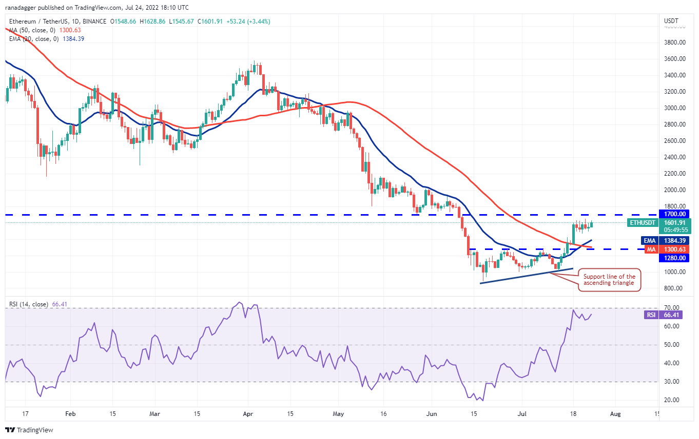 本周最值得关注的 5 种加密货币：BTC、ETH、BCH、AXS、EOS