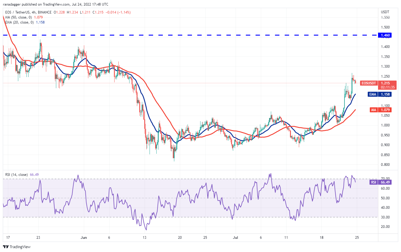 本周最值得关注的 5 种加密货币：BTC、ETH、BCH、AXS、EOS