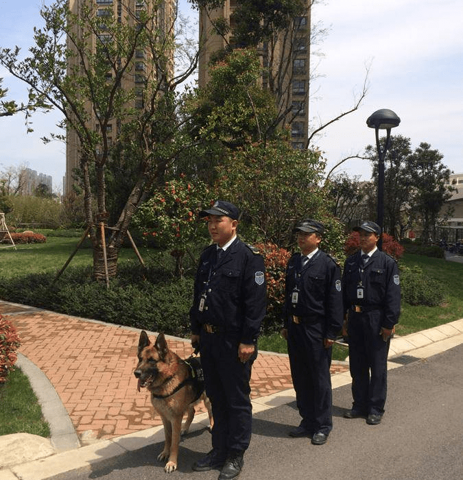 招聘保安网-附近保安/门卫招聘新信息-鱼泡网