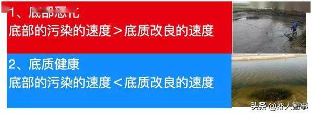 改了这么些年的底<strong></p>
<p>底特币</strong>，你所谓的“改底”真的是在改底吗？