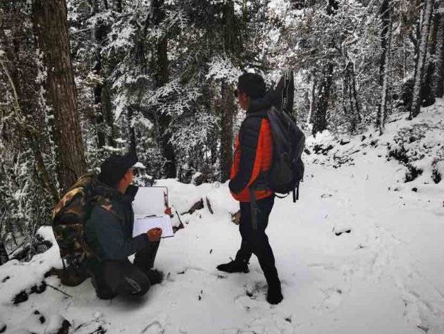 开屏人物｜白马雪山深处的守山人