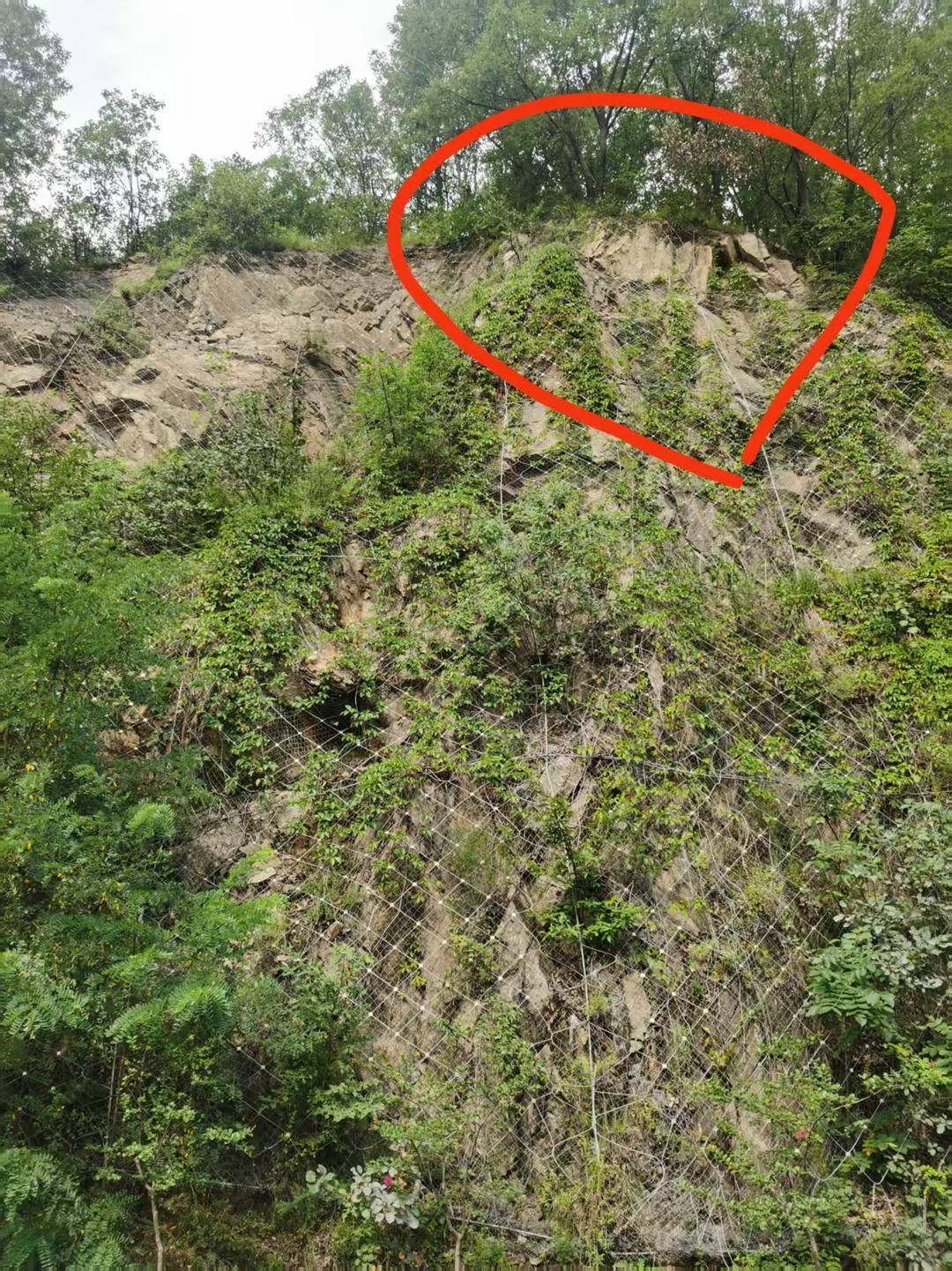 河南山体落石致36岁男子死亡案将一审开庭<strong></p>
<p>vgs币价格</strong>，家属起诉多部门索赔146万余元