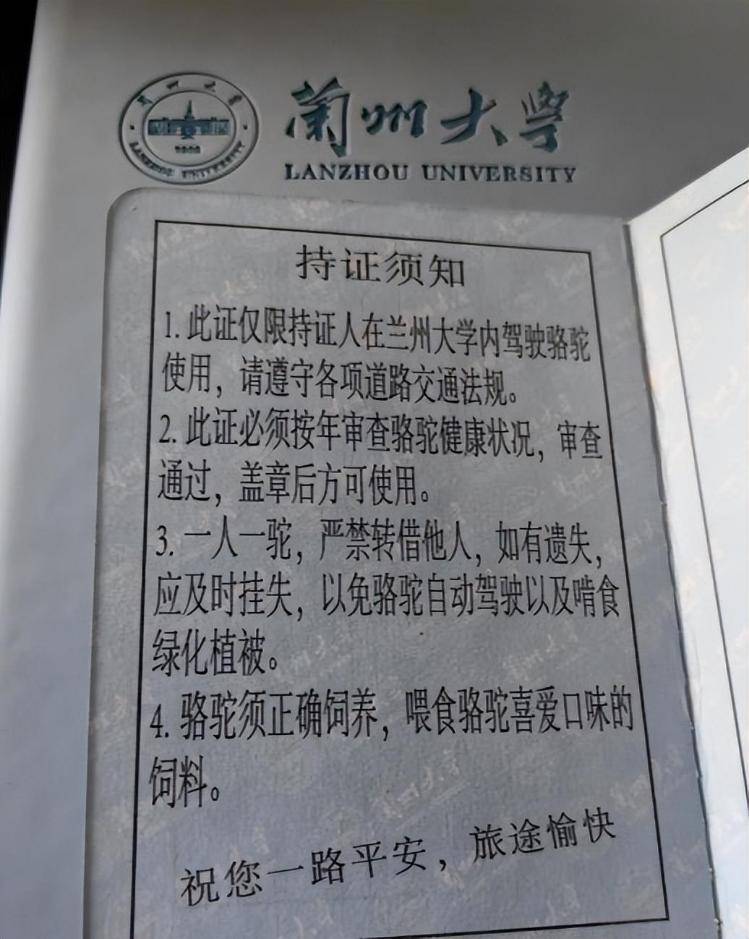 一人一驼<strong></p>
<p>兔币</strong>，骆驼尾气排放超标要扣分？兰大回应学生持证骑骆驼上学：骆驼驾驶证为学校文创，非官方证件