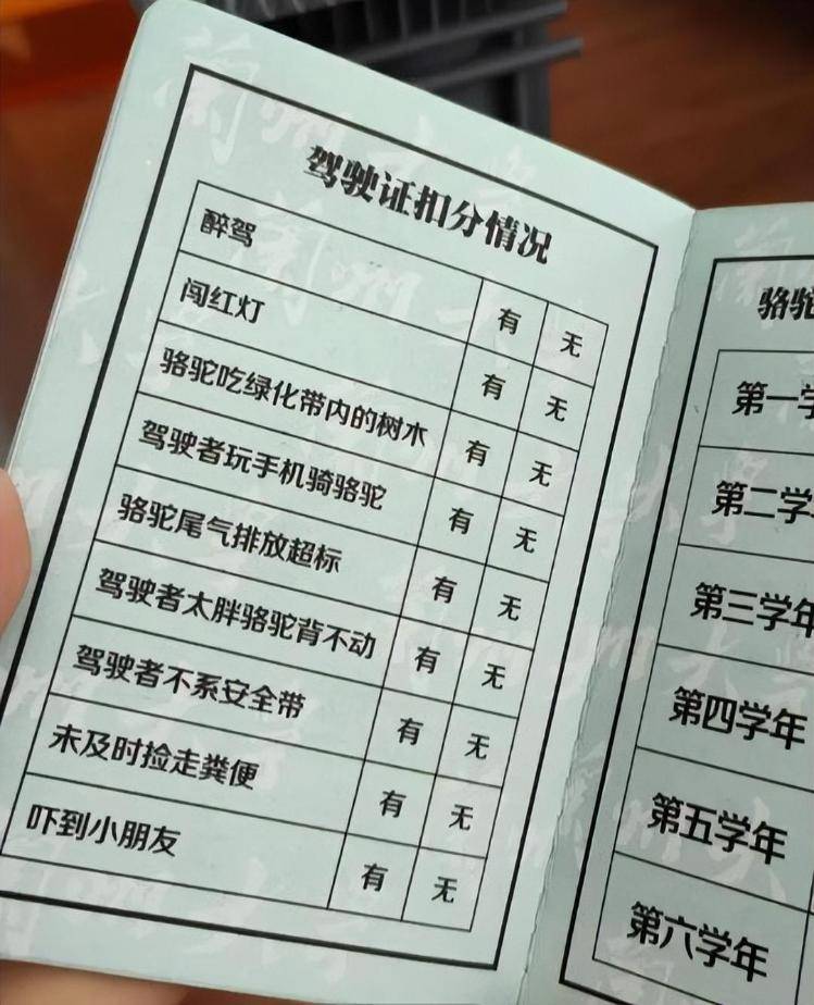 一人一驼<strong></p>
<p>兔币</strong>，骆驼尾气排放超标要扣分？兰大回应学生持证骑骆驼上学：骆驼驾驶证为学校文创，非官方证件