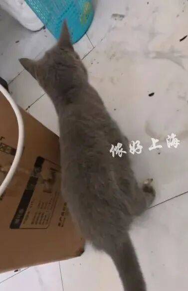 上海一房东崩溃！"00后"情侣租客失联<strong></p>
<p>币币火网莱特</strong>，打开房门直呼"辣眼睛"…