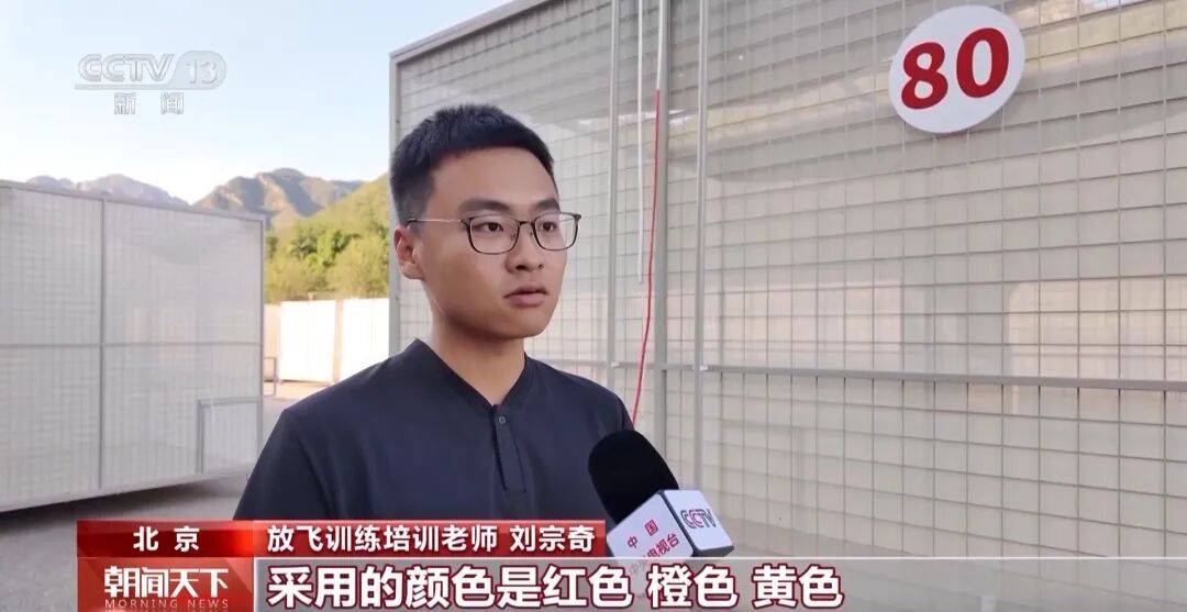 明天将放飞8万羽和平鸽、8万只气球<strong></p>
<p>币币火网莱特</strong>，揭秘！