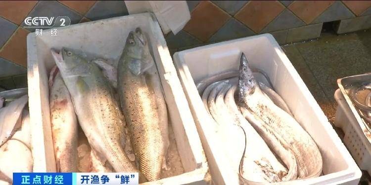 大连“开海”首个周末<strong></p>
<p>trio币</strong>，海鲜价格走势如何？记者探访→