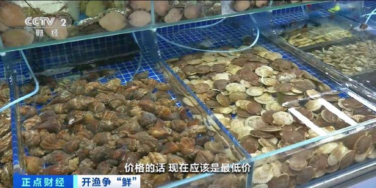 大连“开海”首个周末<strong></p>
<p>trio币</strong>，海鲜价格走势如何？记者探访→