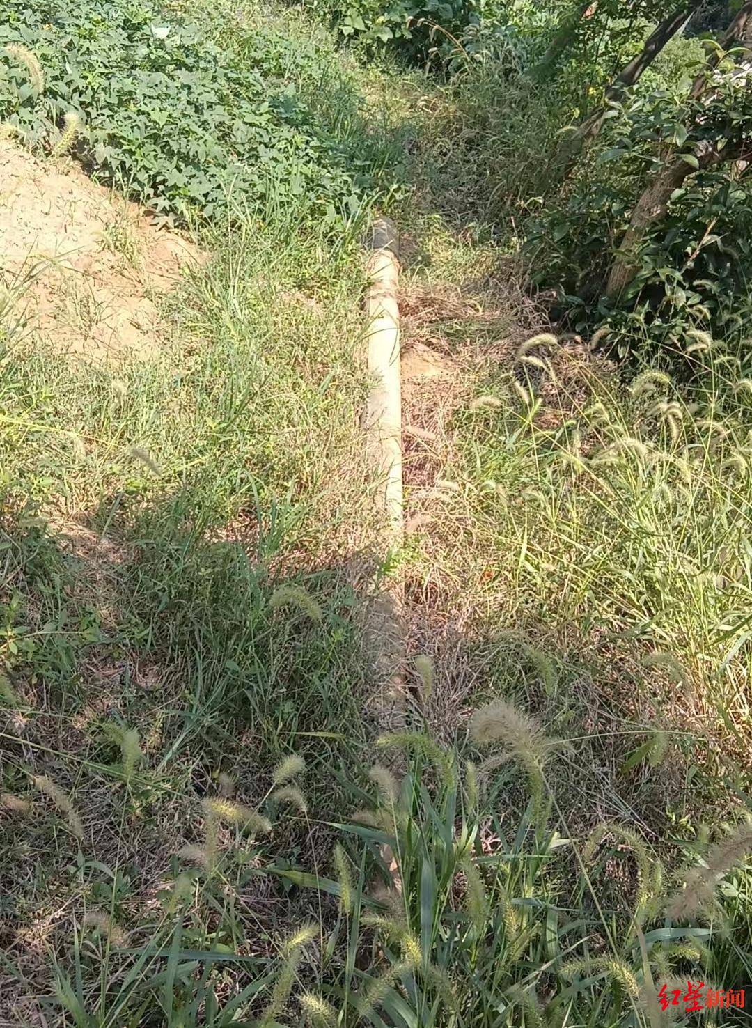 5岁女童被水泥杆砸中不幸身亡 家属：杆上有明确标识和编号<strong></p>
<p>币知</strong>，望尽快查清所属单位