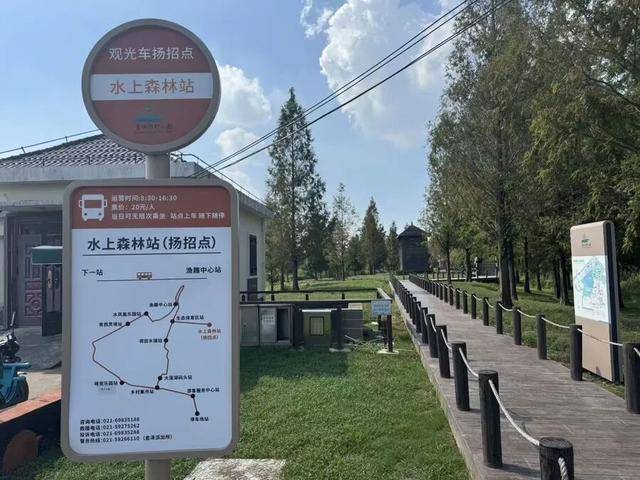 上海著名地标宣布：24小时内可免费停车<strong></p>
<p>rep币</strong>！