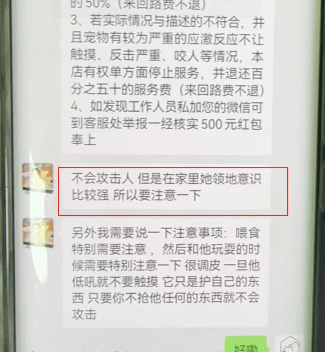 女子上门代喂<strong></p>
<p>随享币</strong>，被100多斤阿拉斯加犬咬伤遭毁容，狗主人称不担全责