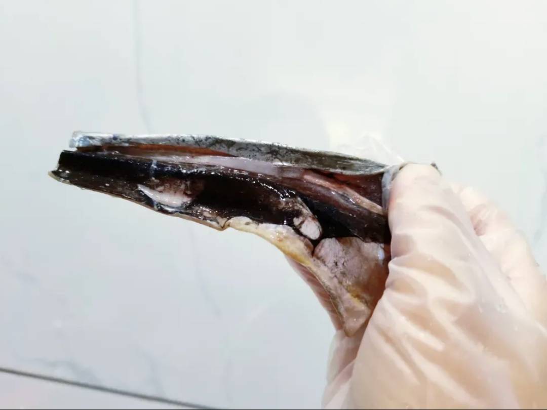 这种“国民廉价鱼”<strong></p>
<p>安币网</strong>，一直被低估！其实营养价值超高