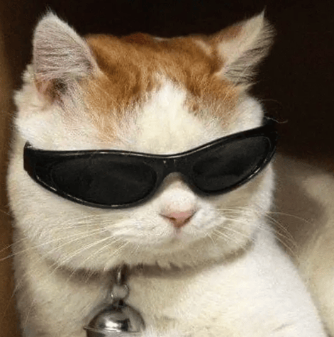 “不亚于春节回家”！凌晨5点<strong></p>
<p>寰球币乐</strong>，深圳有人已经堵在路上……