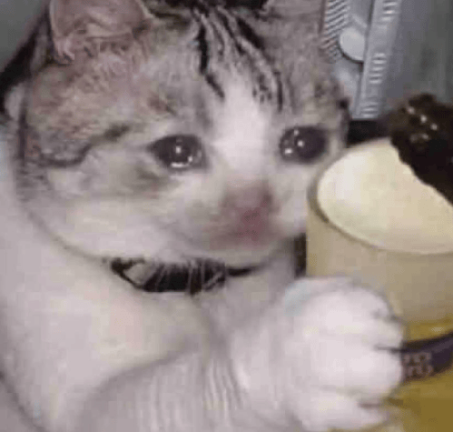 “不亚于春节回家”！凌晨5点<strong></p>
<p>寰球币乐</strong>，深圳有人已经堵在路上……