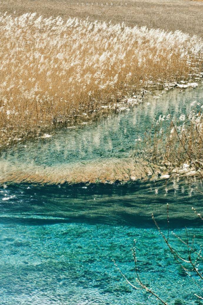 九寨沟“门票候补措施”推出1天就暂停<strong></p>
<p>币口袋</strong>，景区回应：登记的人数太多