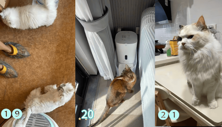 需求激增！男子长假连接270单<strong></p>
<p>币币机</strong>，其中一笔收费8100元，“我有多套房，有双学位，客户很信任”；律师提醒→