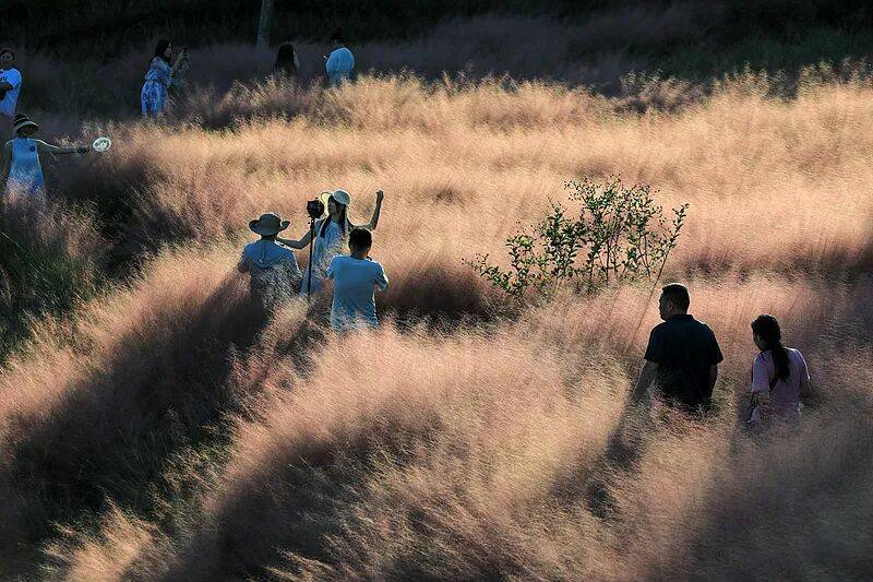 【曝光台】打卡拍照<strong></p>
<p>币币机</strong>，再美也不能用生命对焦