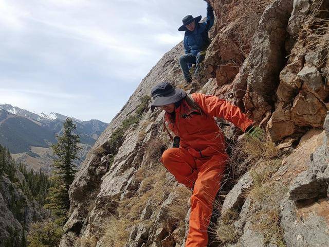 全国找金最多的地质队<strong></p>
<p>币仑</strong>！已查明金资源量2810余吨