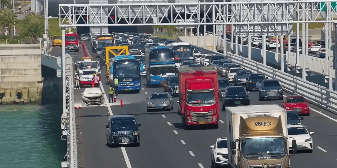 粤B·97821D、粤Z·AG85澳、粤T·91736<strong></p>
<p>币仑</strong>，你们被拍下来了！