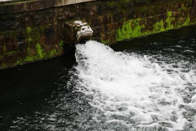 秋色满城 历下有约丨护城河畔美出圈<strong></p>
<p>莱克币</strong>！解锁历下限定秋日浪漫