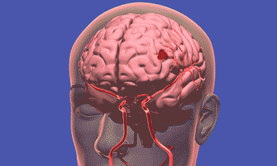 这个国庆<strong></p>
<p>国产币</strong>,荆州火了! / “荆州,我们还来!”