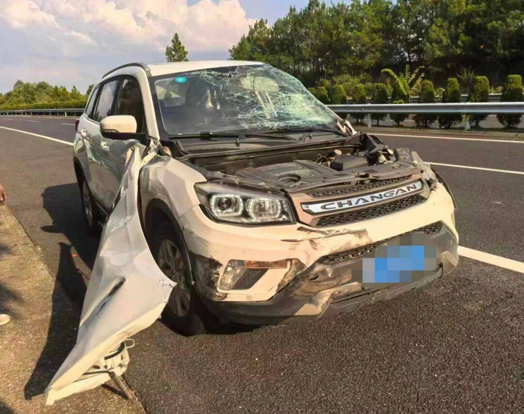 “我撒谎天打雷劈！”男子高速突然强行变道致翻车<strong></p>
<p>法币时代</strong>，反诬赖对方