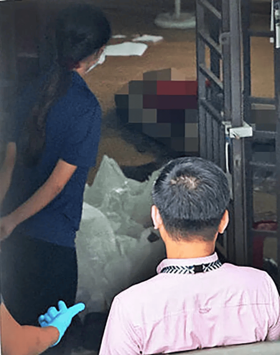 新加坡现双尸案:父亲成白骨<strong></p>
<p>法币时代</strong>,剑桥博士女儿疑饿死,一家来自东北