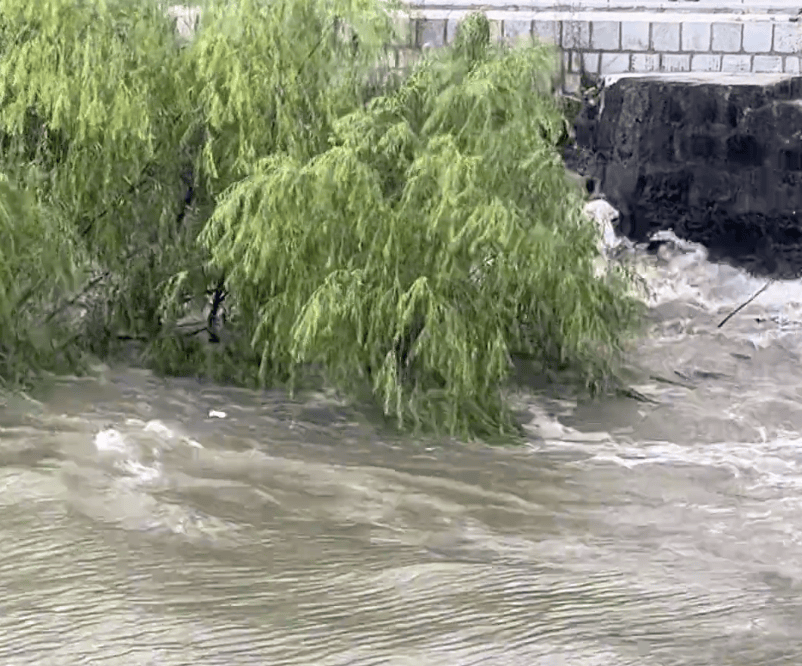 230斤重小伙酒后落水<strong></p>
<p>币老大</strong>，漂浮7小时终获救……