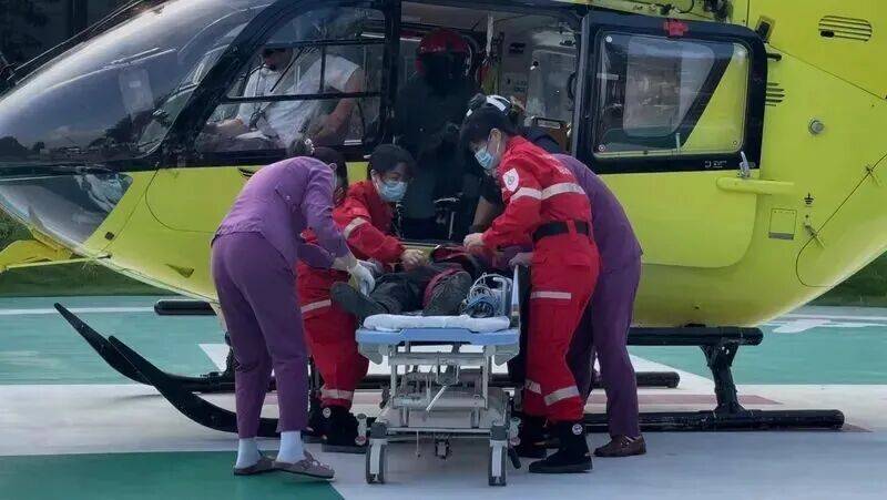 深圳一市民突遭马蜂围袭！已进入高发期，千万别招惹！