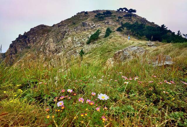 青岛“阿勒泰”爆火后<strong></p>
<p>全币白</strong>，如何将“网红”变“长红”