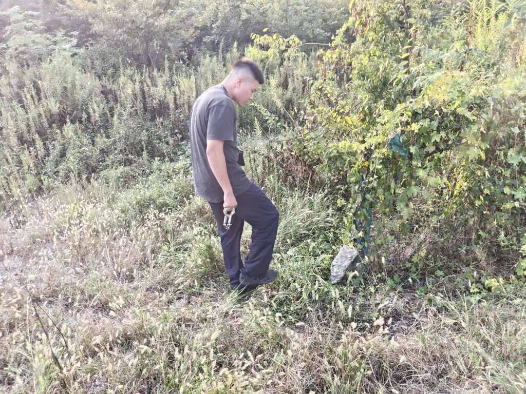 浙江一姑娘以奶茶为记号<strong></p>
<p>九币网</strong>，竟然在草丛里藏了11万现金！