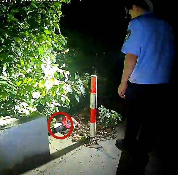 浙江一姑娘以奶茶为记号<strong></p>
<p>九币网</strong>，竟然在草丛里藏了11万现金！