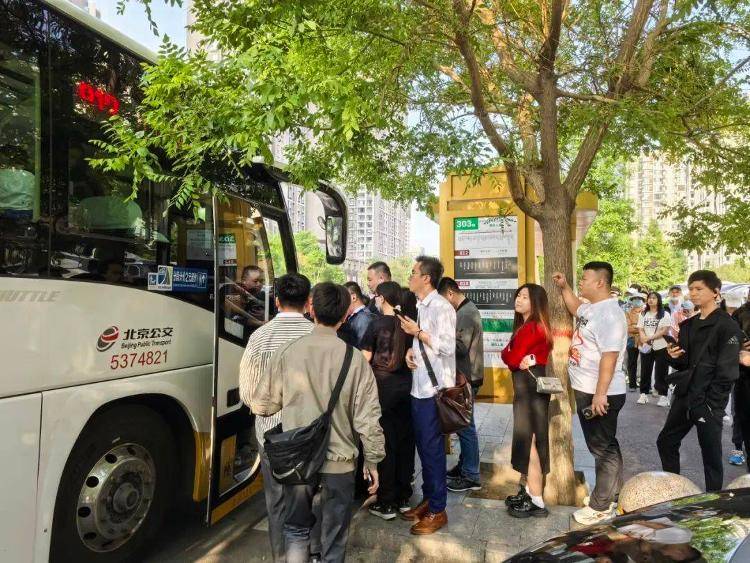 建议“公交老年卡高峰期禁用”<strong></p>
<p>九币网</strong>，能解决问题吗？