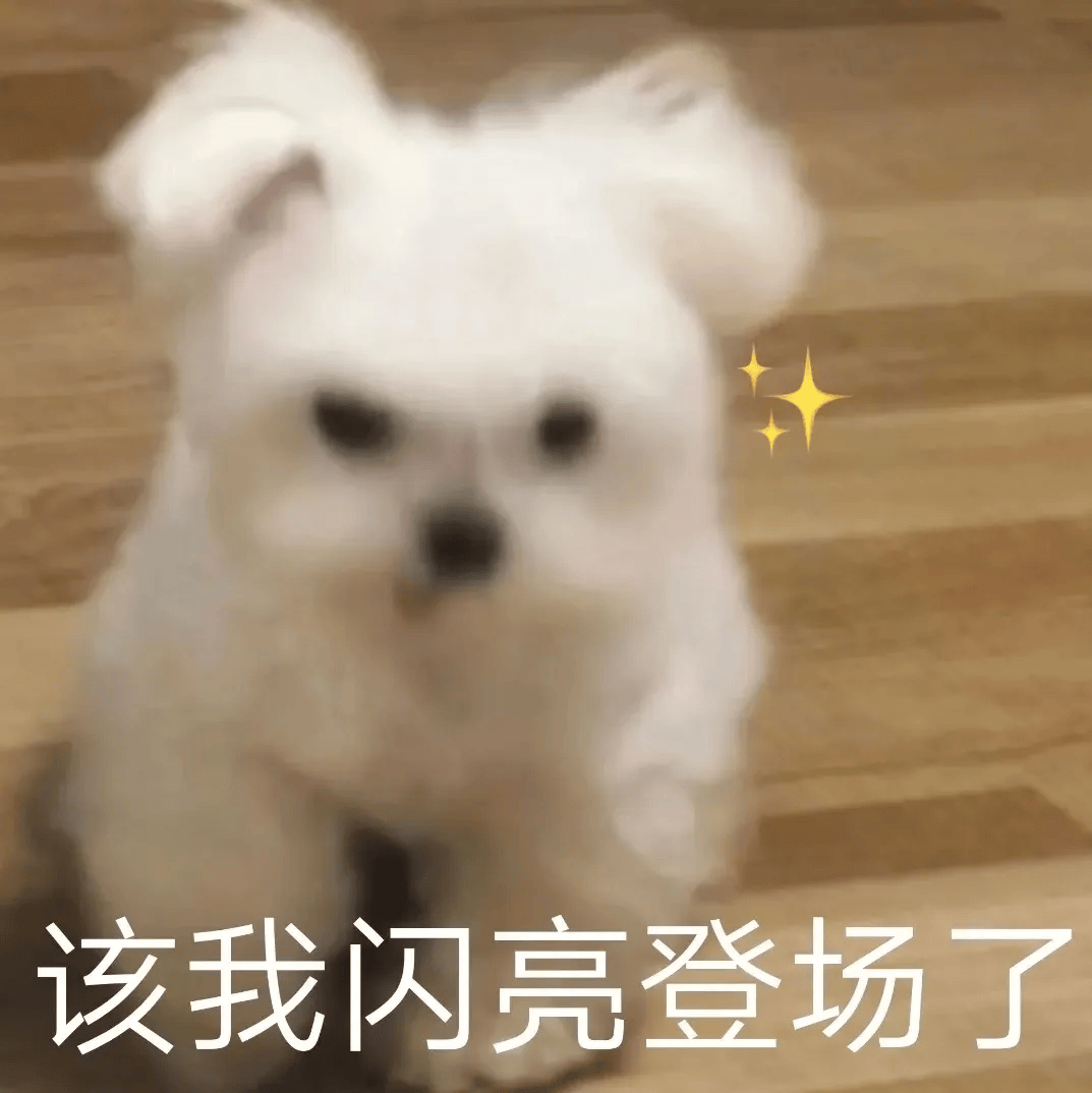 全球最大“时空压缩机”来了！完全自主研发<strong></p>
<p>九币网</strong>，就在……