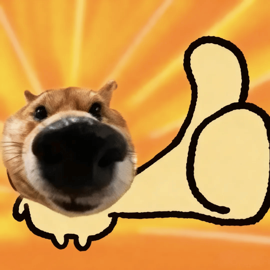 全球最大“时空压缩机”来了！完全自主研发<strong></p>
<p>九币网</strong>，就在……