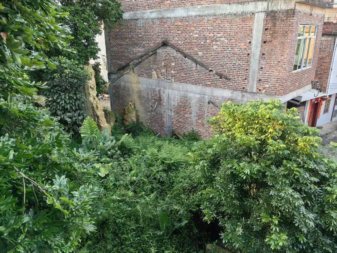 福建一男子被控杀害3人服刑20年 释放后申诉无罪被驳回｜封面深镜