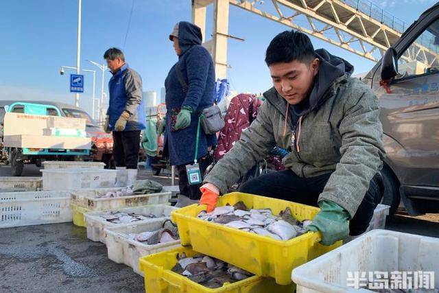 大船渔港避风<strong></p>
<p>委内瑞拉法币</strong>，小船海鲜上岸