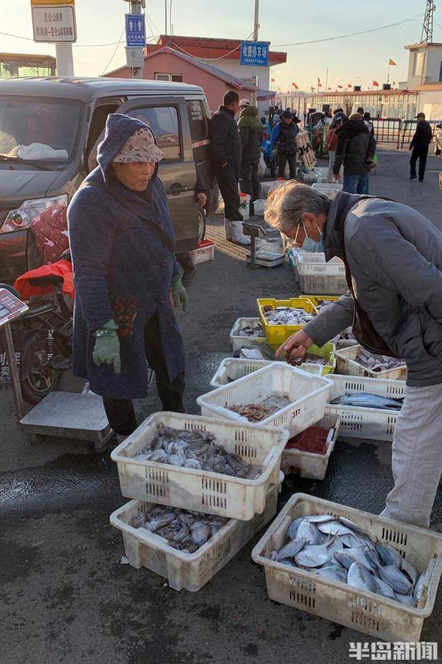 大船渔港避风<strong></p>
<p>委内瑞拉法币</strong>，小船海鲜上岸