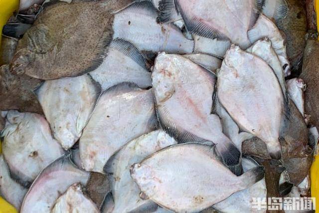 大船渔港避风<strong></p>
<p>委内瑞拉法币</strong>，小船海鲜上岸