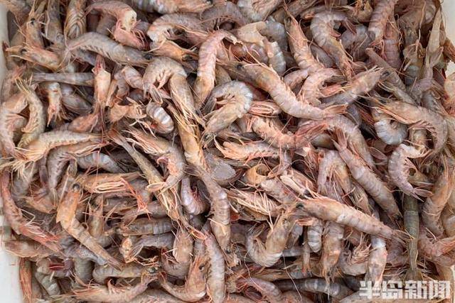 大船渔港避风<strong></p>
<p>委内瑞拉法币</strong>，小船海鲜上岸