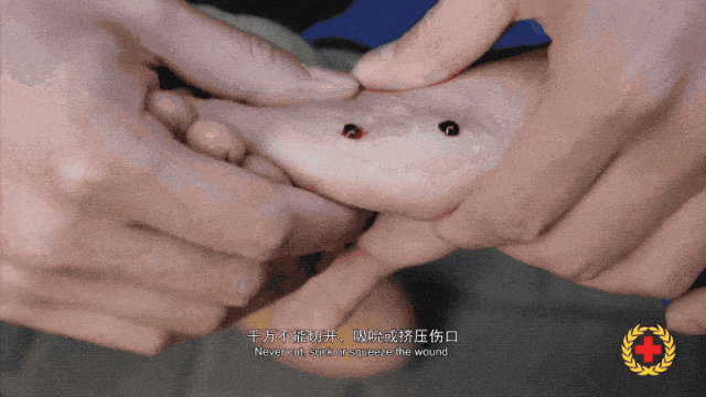 女子半夜上厕所<strong></p>
<p>狼币</strong>，马桶里突然窜出一条蛇！