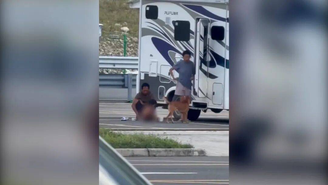 村民：“野人小孩”父亲上山“灵修”后就不正常<strong></p>
<p>狼币</strong>了