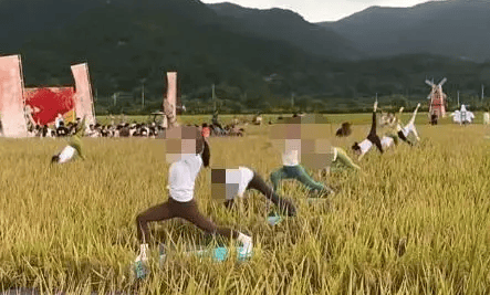 媒体：稻田开镰仪式<strong></p>
<p>狼币</strong>，表演哪门子瑜伽？