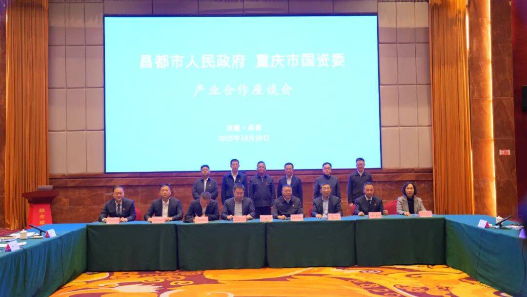 重庆市国资委与昌都市深化产业合作 合力推动两地协作走深走实