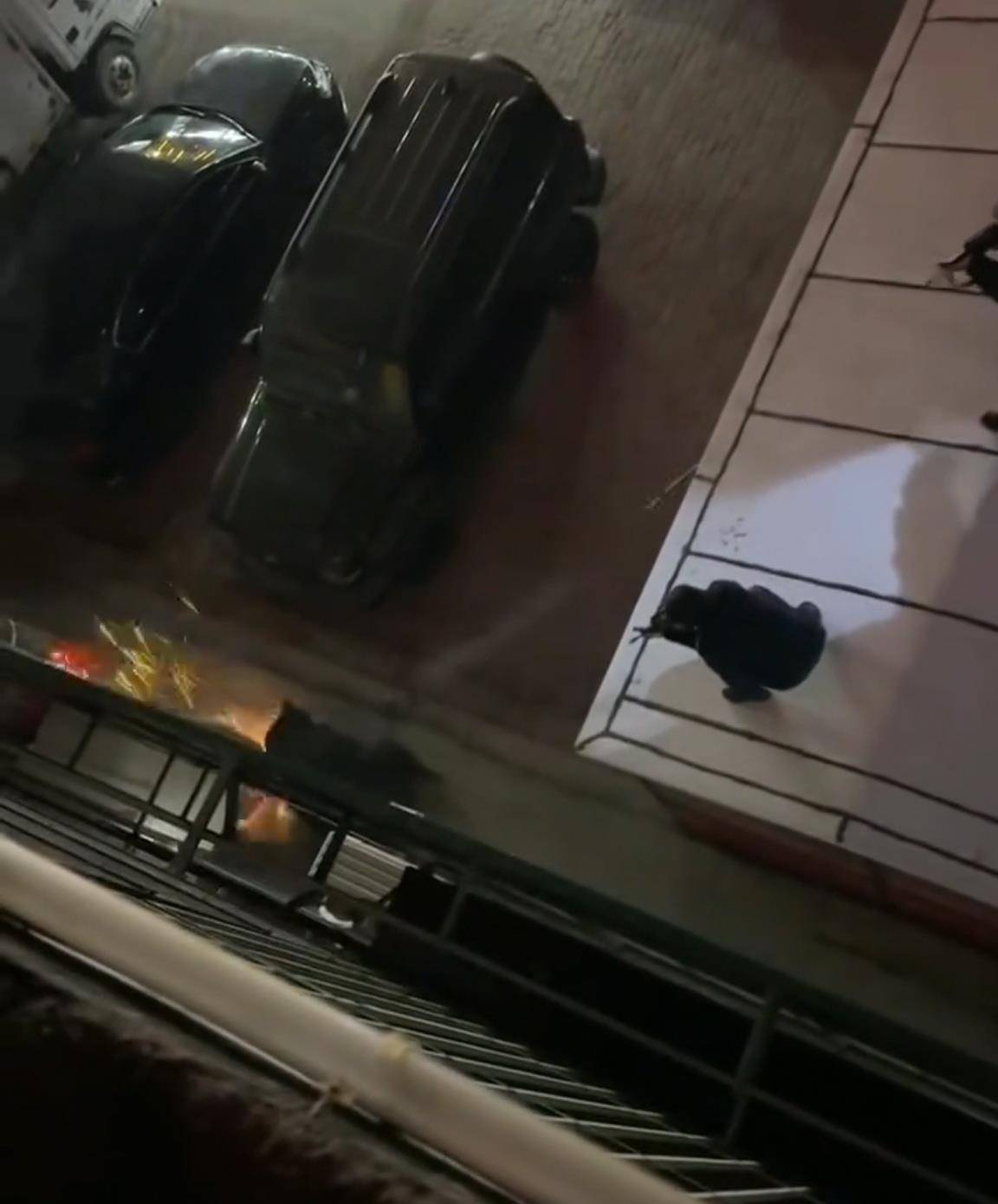 大黑熊夜里独闯黑龙江一县城闹市区<strong></p>
<p>币下</strong>,警方连开10多枪击毙,回应为何没用麻醉枪