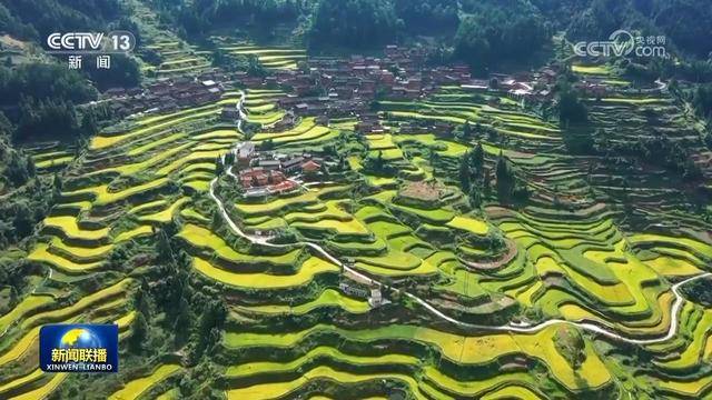 【新思想引领新征程·非凡“十四五”】<strong></p>
<p>币下</strong>我国农业农村现代化迈出坚实步伐