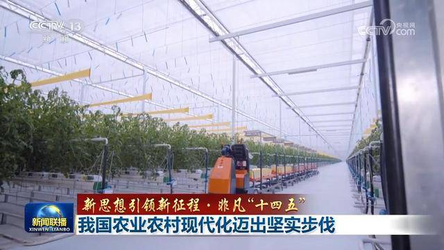 【新思想引领新征程·非凡“十四五”】<strong></p>
<p>币下</strong>我国农业农村现代化迈出坚实步伐