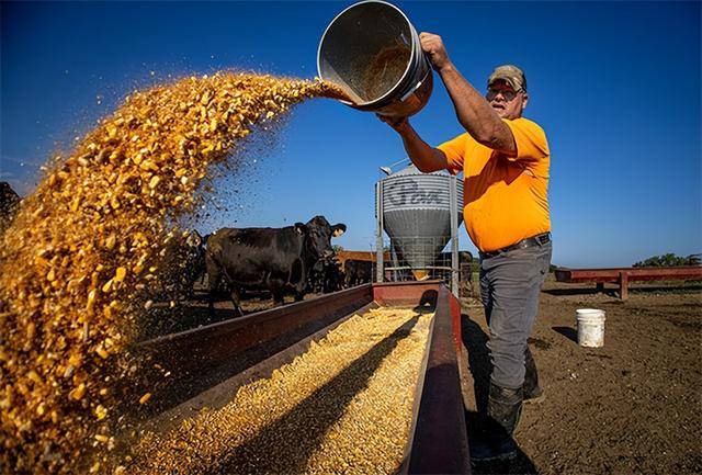 又输给了李成钢<strong></p>
<p>币优</strong>，贝森特承诺：美方不再考虑对华加征100%关税